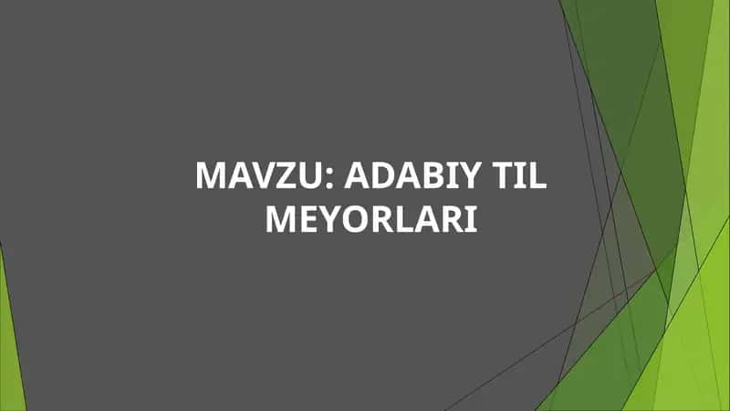 ADABIY TIL MEYORLARI 1