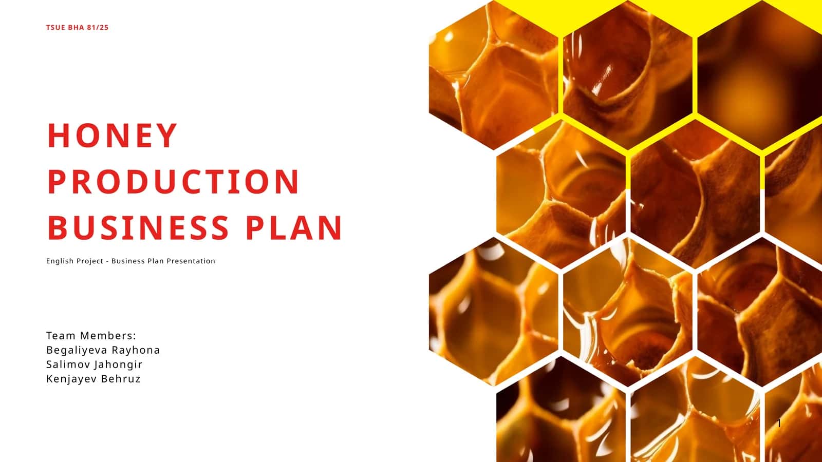 HONEY PRODUCTION BUSINESS PLAN 1