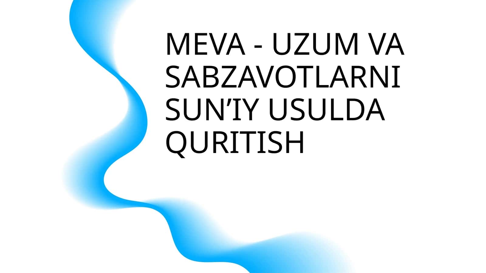 MEVA - UZUM VA SABZAVOTLARNI SUN’IY USULDA QURITISH 1