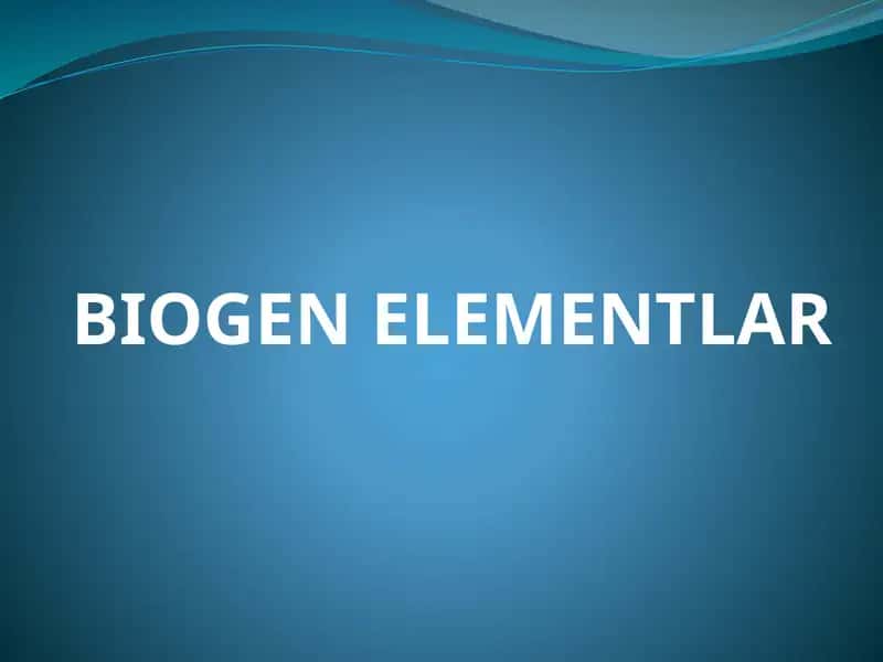 BIOGEN ELEMENTLAR 1