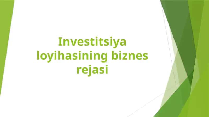 Investitsiya loyihasining biznes rejasi 1