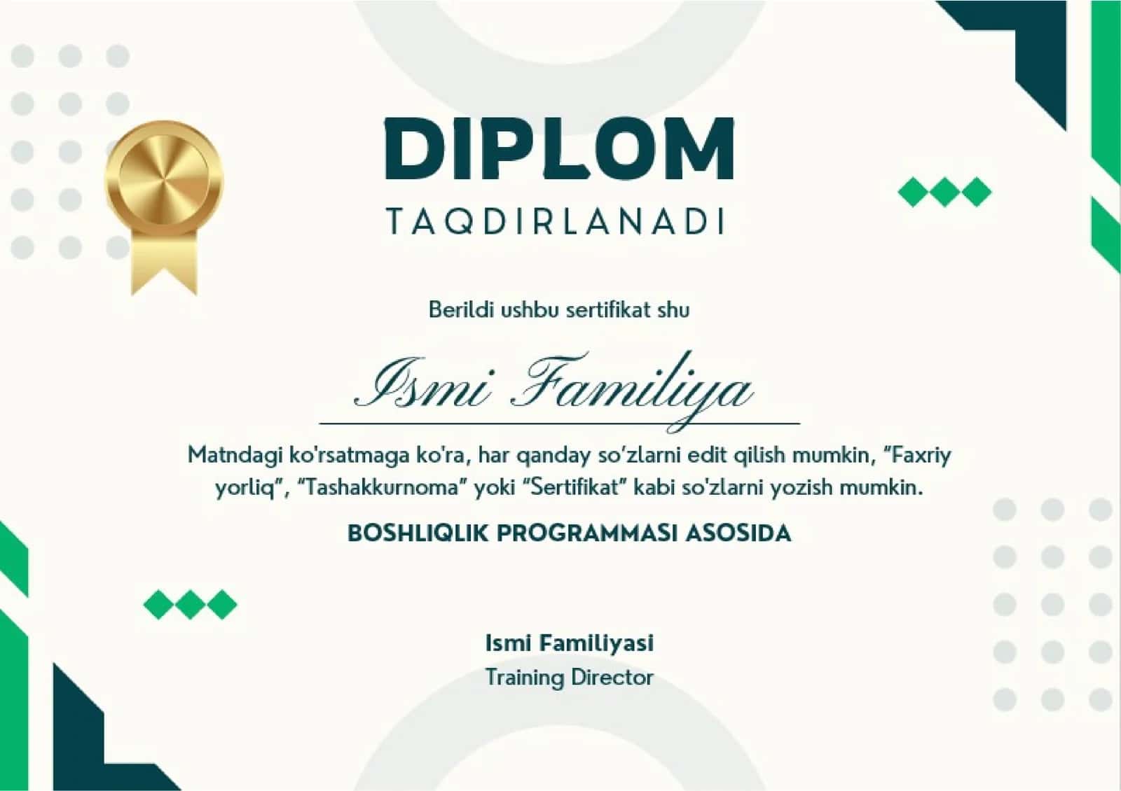 DIPLOM 1
