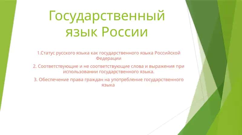 Государственный язык России 1