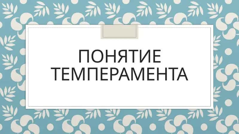 понятие темперамента 1