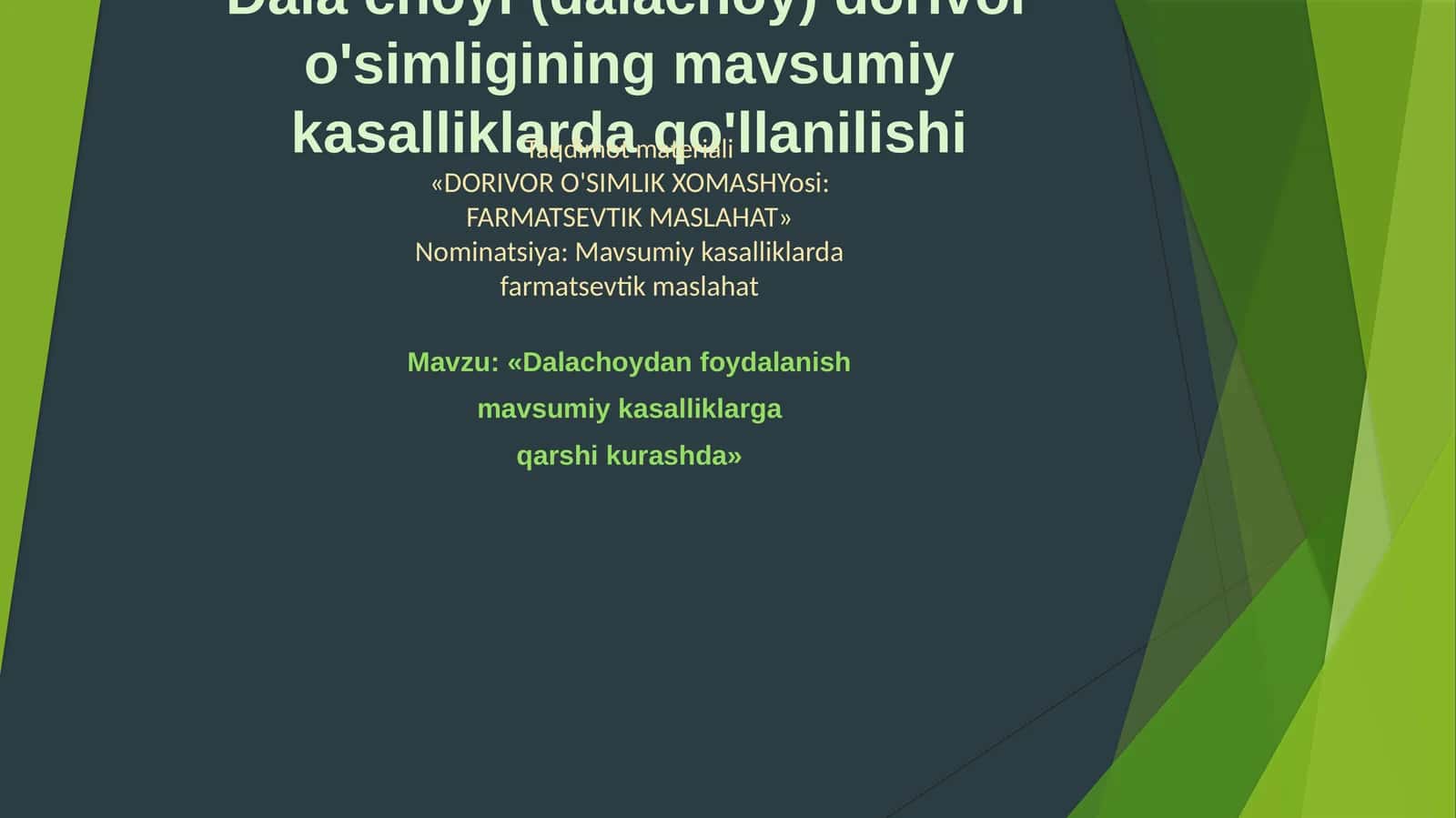 Dala choyi (dalachoy) dorivor o'simligining mavsumiy kasalliklarda qo'llanilishi 1