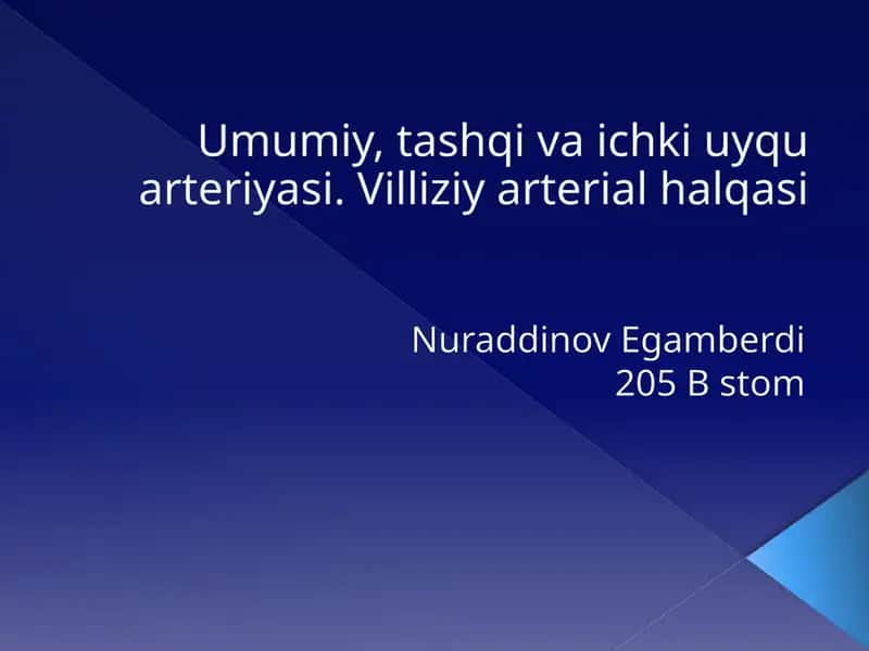 Villiziy arterial halqasi 1