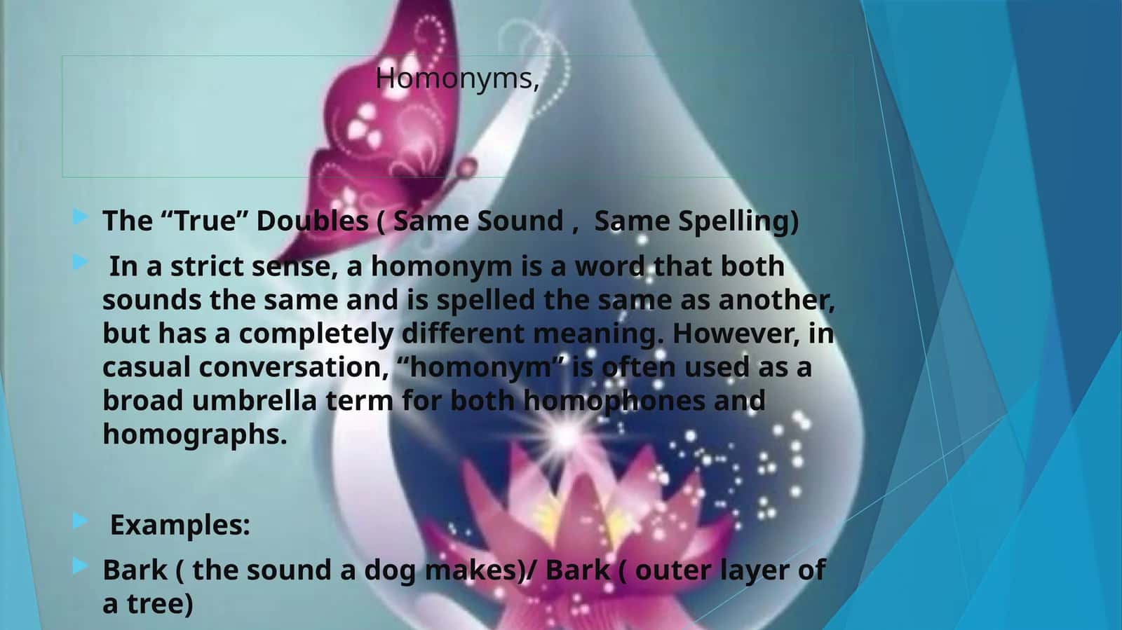 Homonyms 1