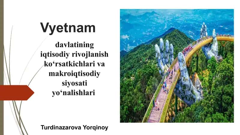 Vyetnamning iqtisodiy rivojlanish ko‘rsatkichlari va makroiqtisodiy siyosati yo‘nalishlari 1