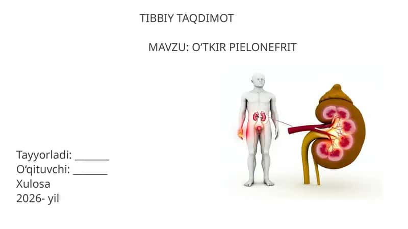 O‘TKIR PIELONEFRIT 1