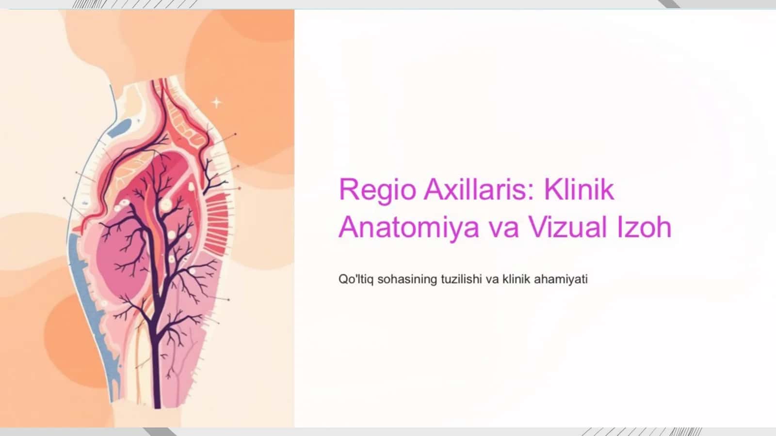 Qo'ltiq sohasi: Klinik anatomiya va ahamiyati 1