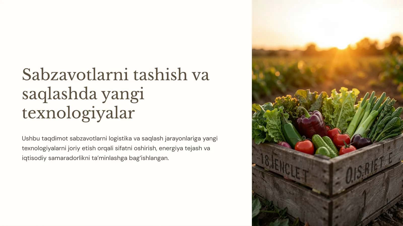 Sabzavotlarni tashish va saqlashda yangi texnologiyalar 1