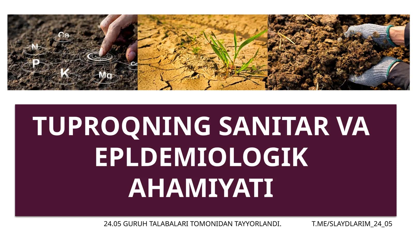 Tuproqning sanitar vaepldemiologikahamiyati 1