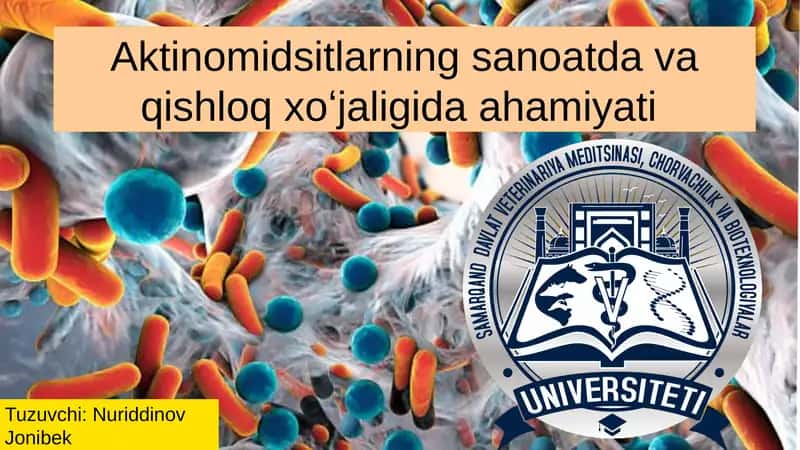 Aktinomidsitlar 1