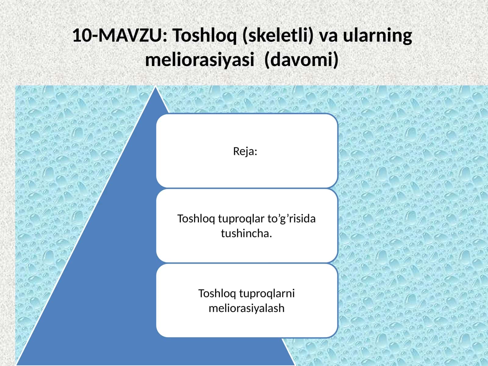 Toshloq(skeletli) va uLarning meliorasiyasi(davomi) 1