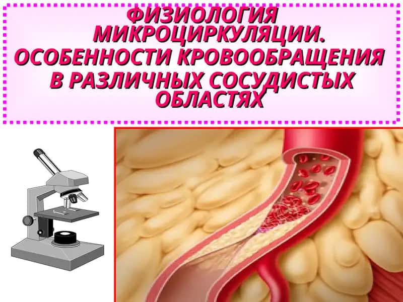 ФИЗИОЛОГИЯ МИКРОЦИРКУЛЯЦИИ. ОСОБЕННОСТИ КРОВООБРАЩЕНИЯ  В РАЗЛИЧНЫХ СОСУДИСТЫХ ОБЛАСТЯХ 1