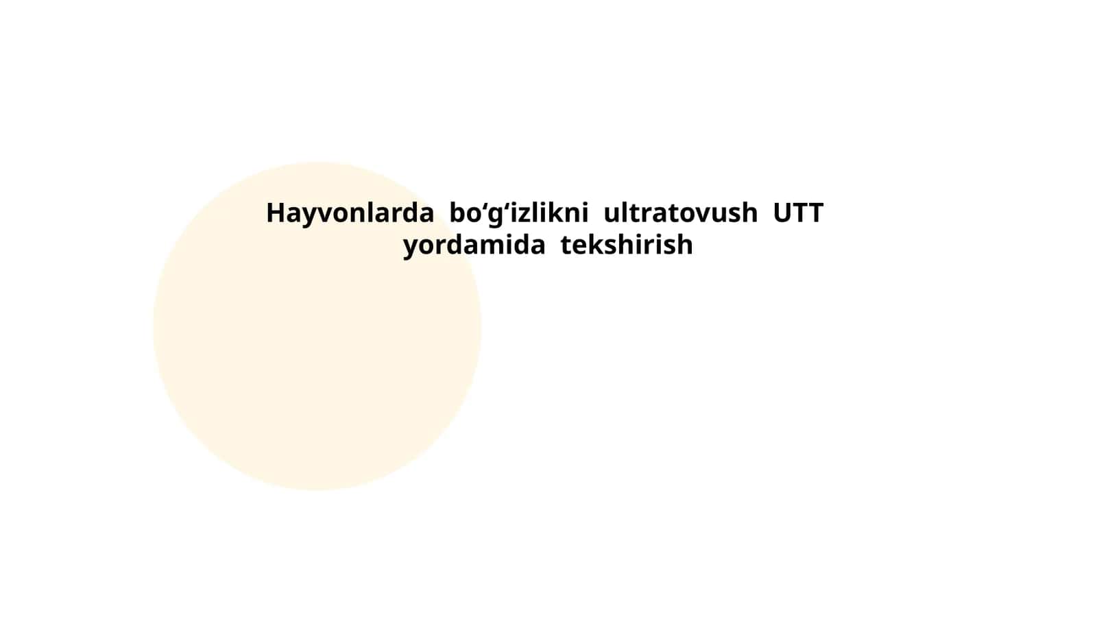 Hayvonlarda bo‘g‘izlikni ultratovush UTT yordamida tekshirish 1