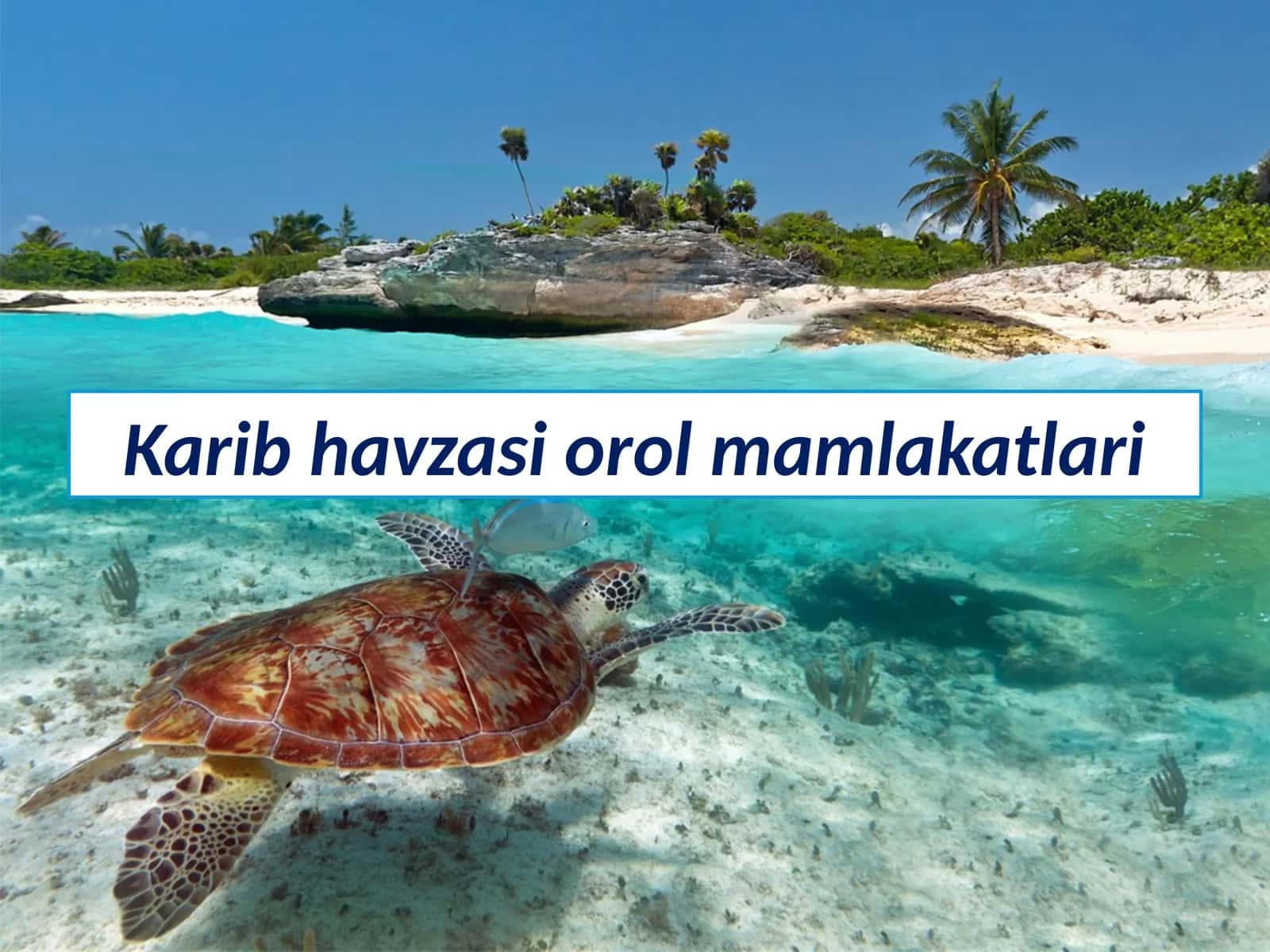 Karib havzasi orol mamlakatlari 1