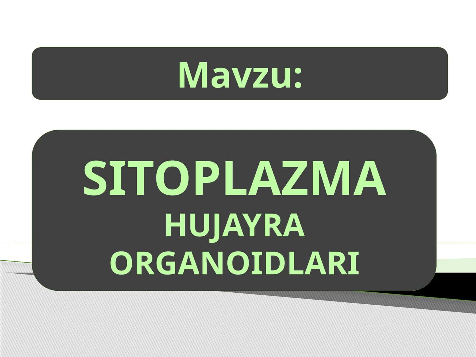 Sitoplazma va organoidlar 1