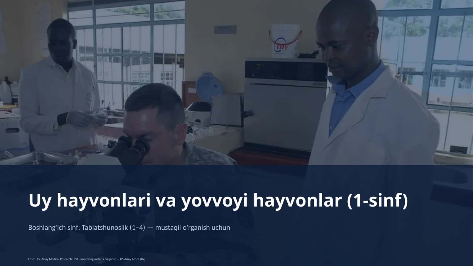 Uy hayvonlari va yovvoyi hayvonlar (1-sinf) 1