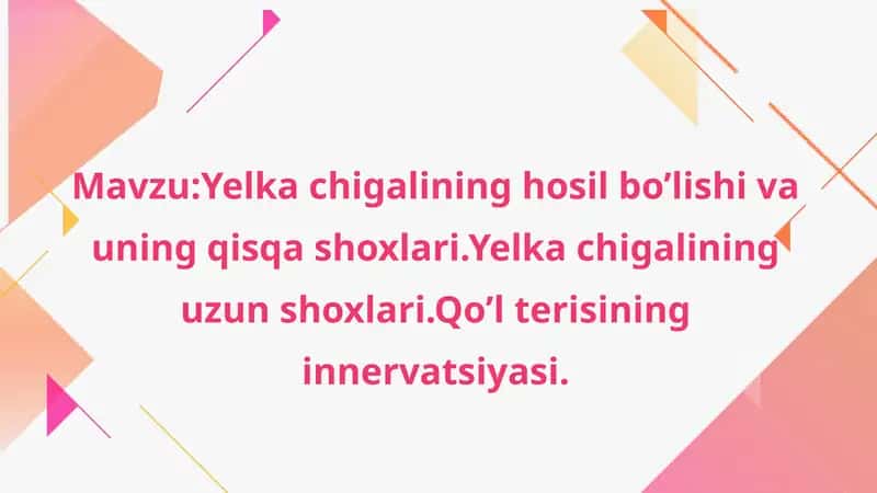 Yelka chigalining hosil bo'lishi va uning qisqa shoxlari.Yelka chigalining uzun shoxlari.Qo'l terisining innervatsiyasi. 1