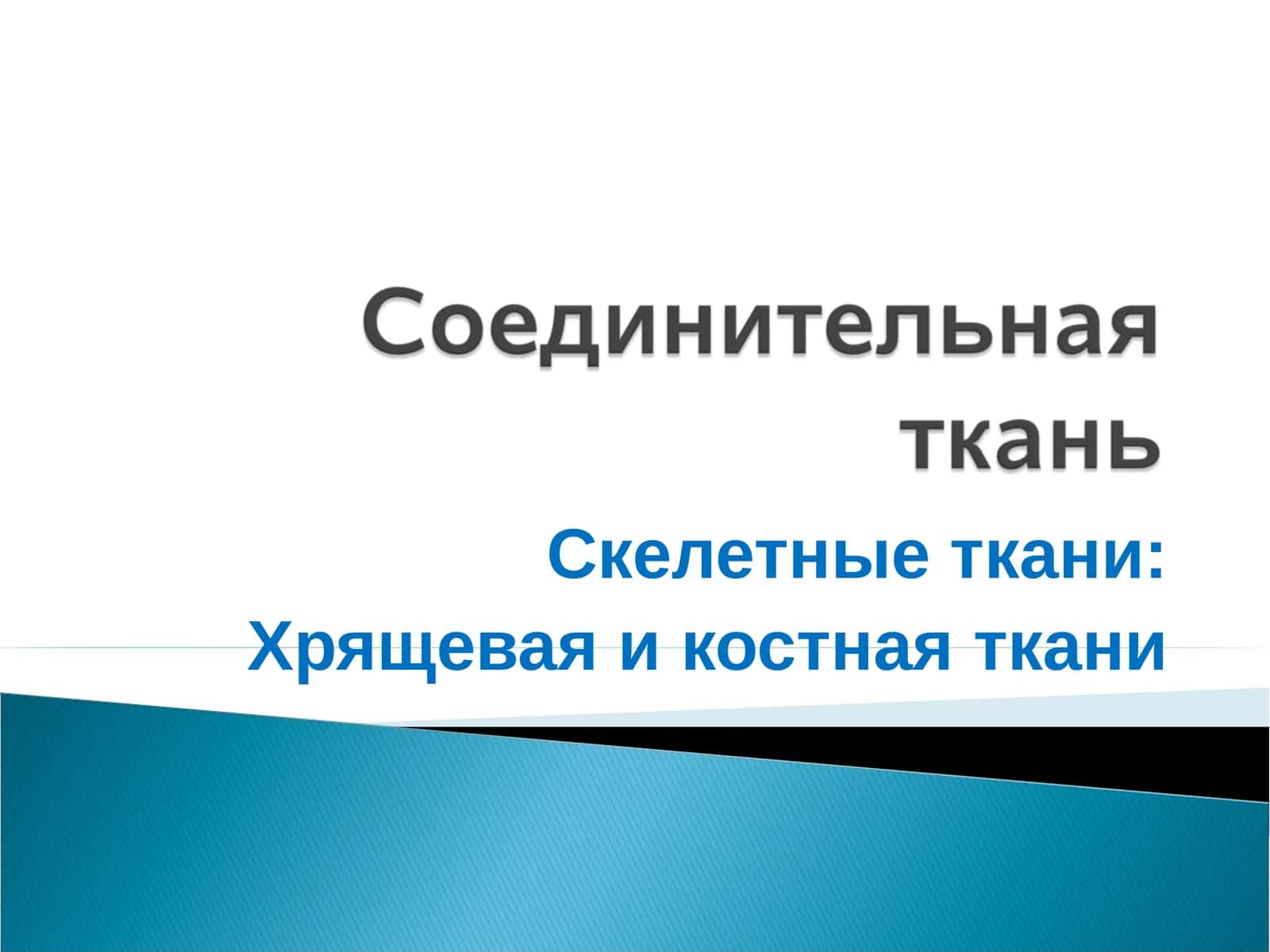 Скелетные ткани: Хрящевая и костная ткани 1