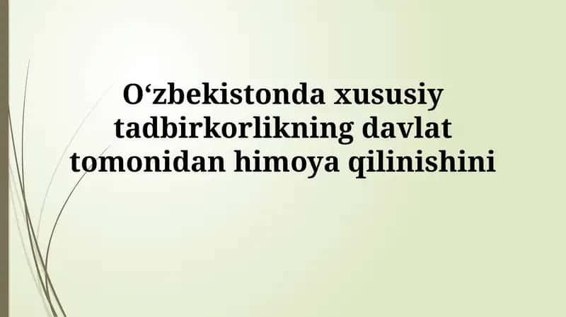 Xususiy tadbirkorlikning davlat tomonidan himoyasi 1