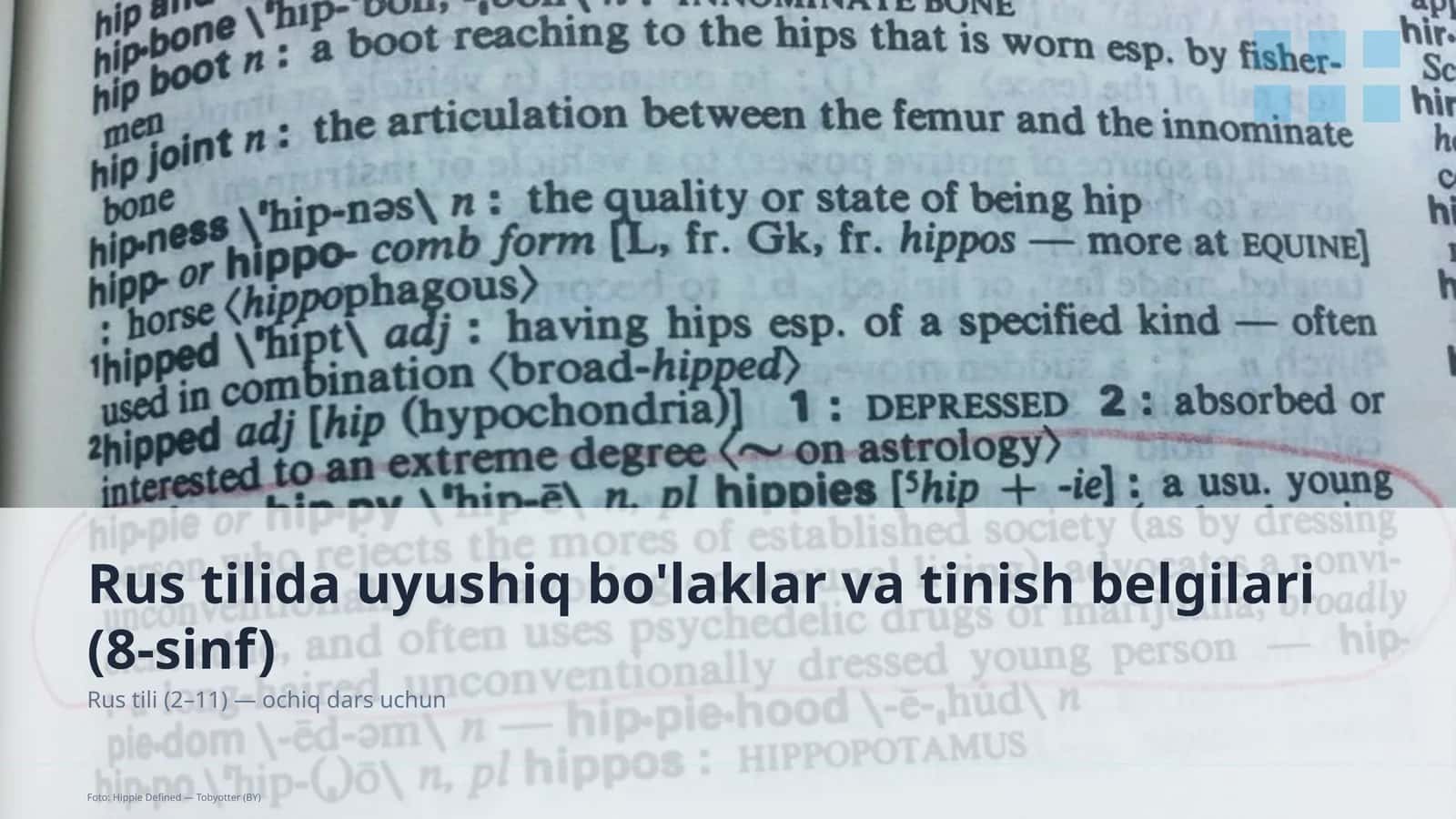 Rus tilida uyushiq bo'laklar va tinish belgilari (8-sinf) 1