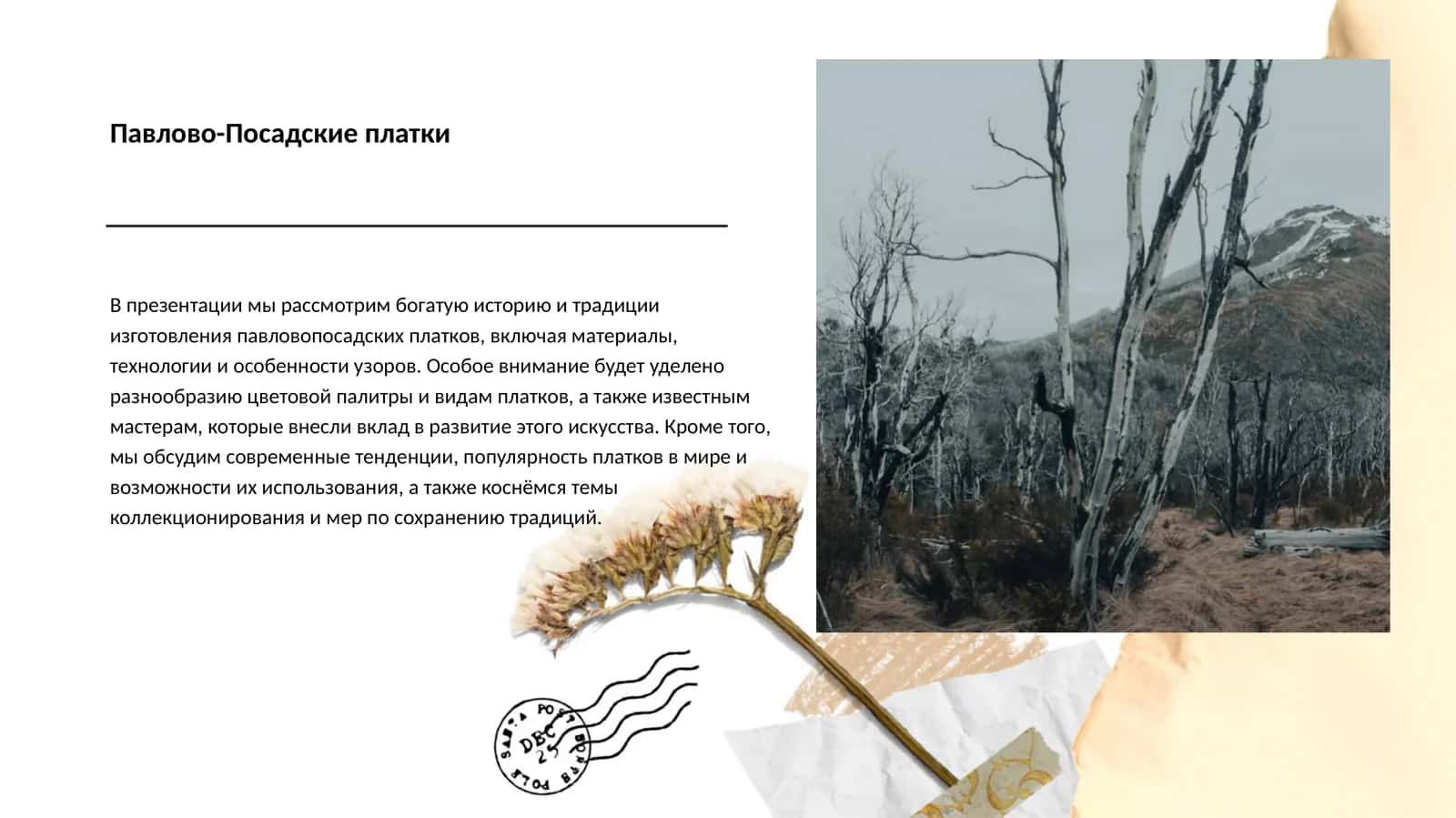 Павлово-Посадские платки 1