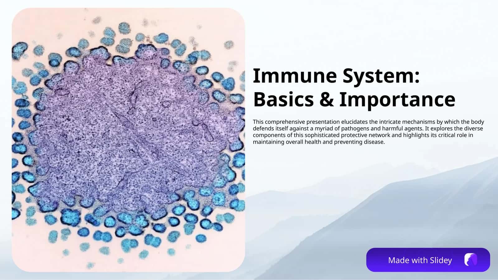 Immun system - Immunitet tizimi (English) 1