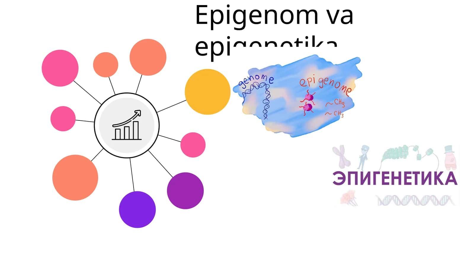 Epigenom va epigenetika 1