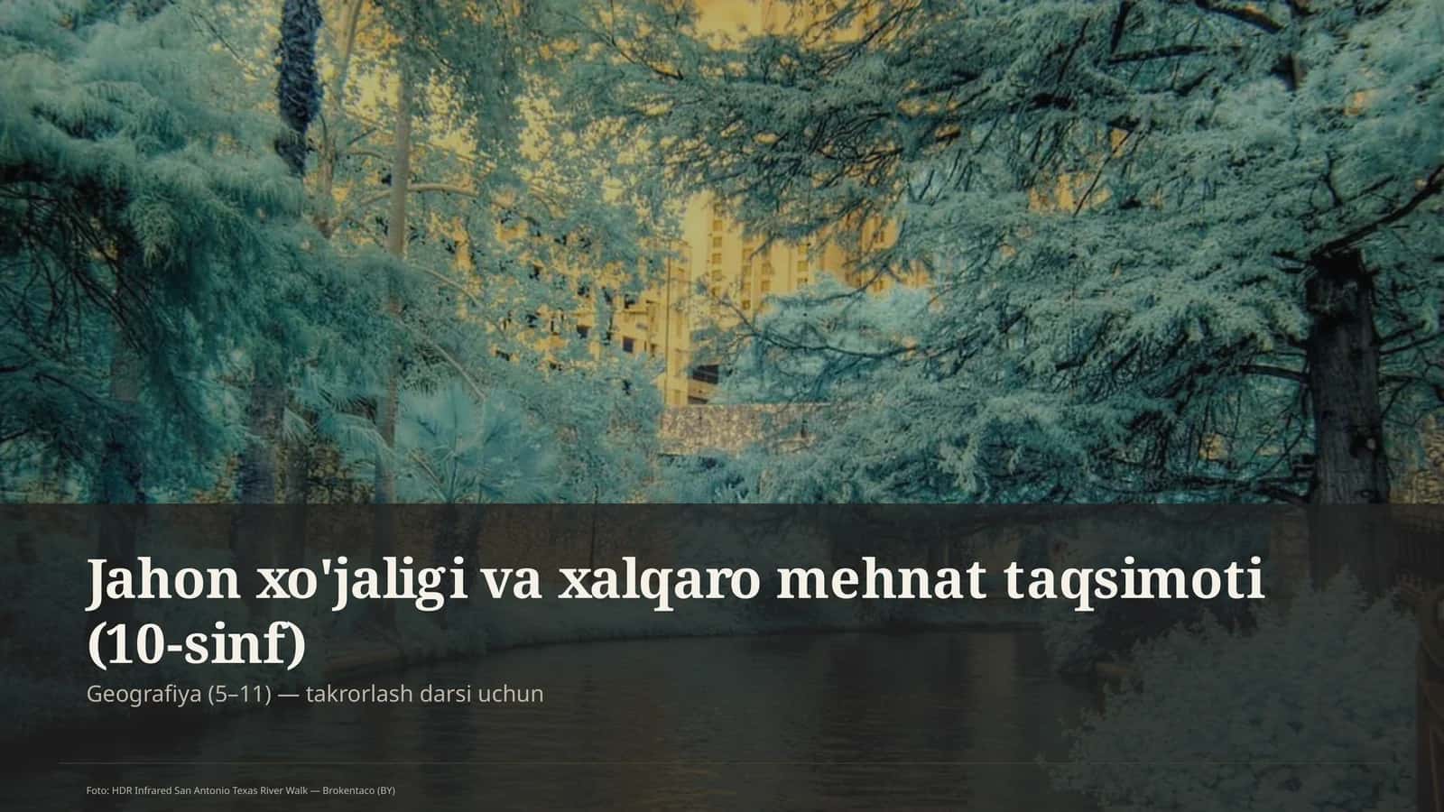 Jahon xo'jaligi va xalqaro mehnat taqsimoti (10-sinf) 1