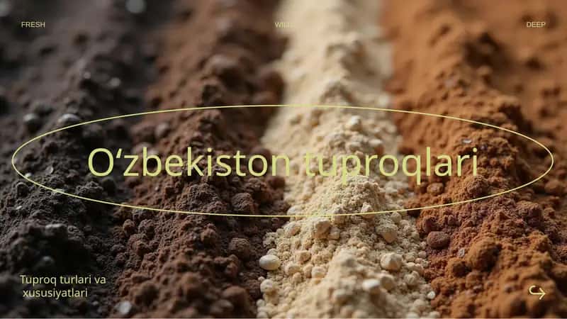 O‘zbekiston tuproqlari 1