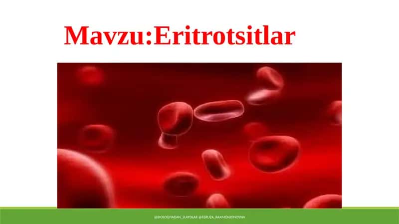Eritrotsitlar 1