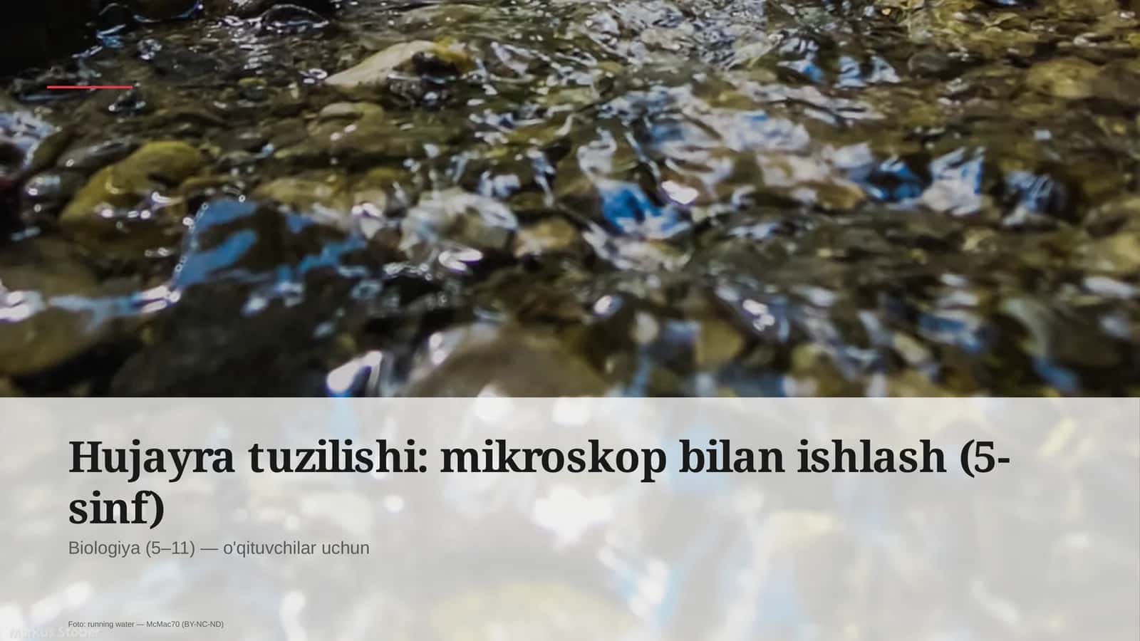 Hujayra tuzilishi: mikroskop bilan ishlash (5-sinf) 1