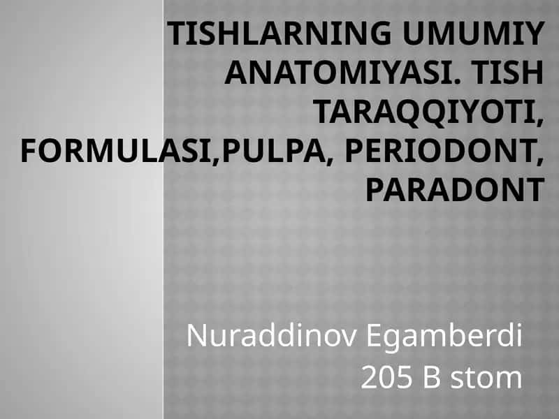 Tishlarning umumiy anatomiyasi 1