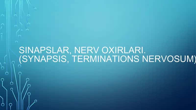 Sinapslar 1
