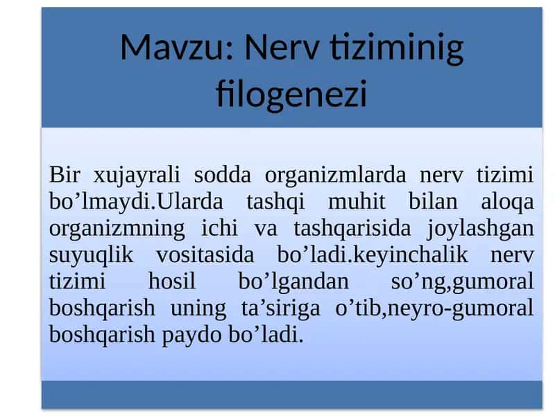 Nerv tizimi filogenezda 1