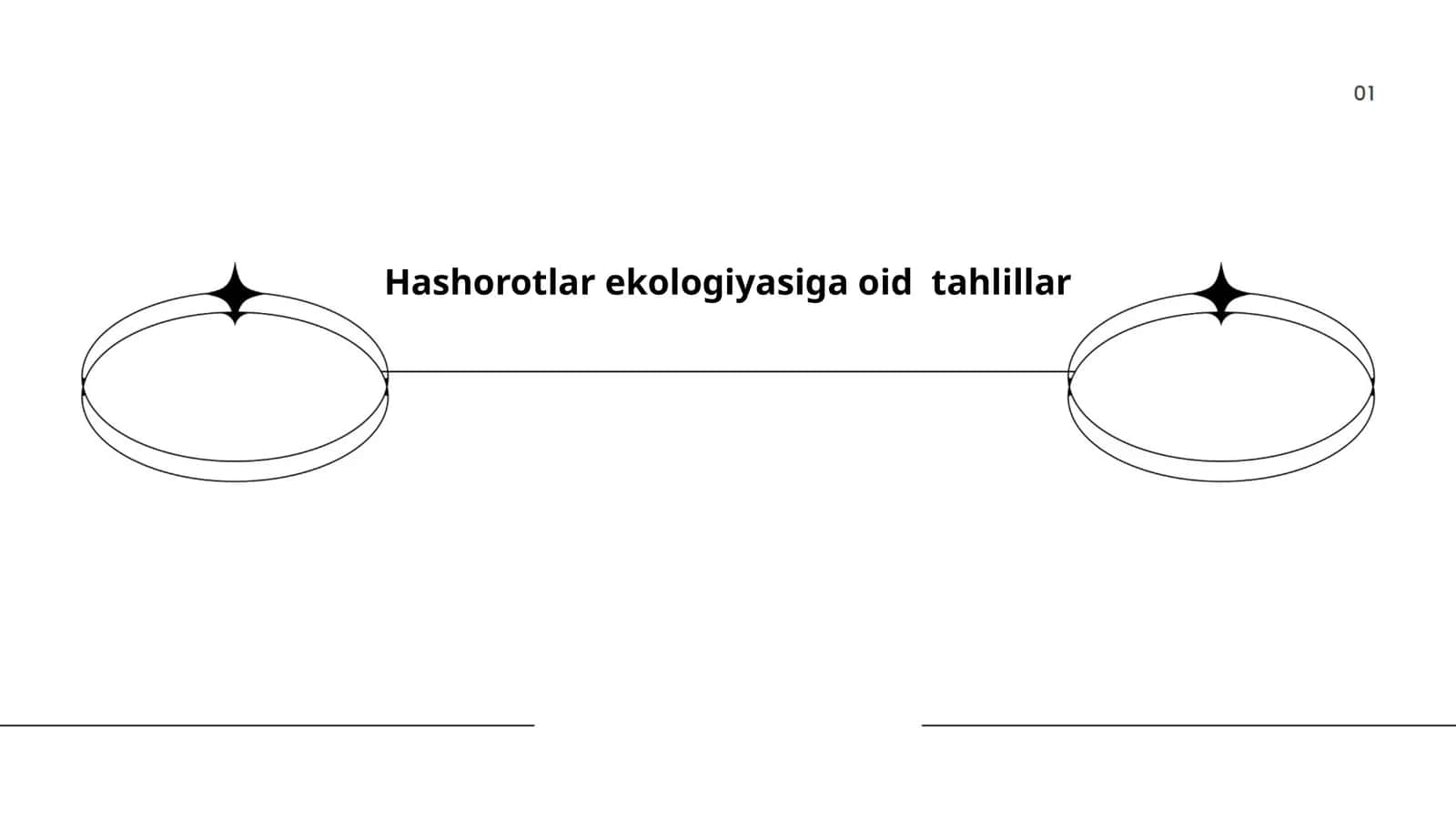 Hashorotlar ekologiyasiga oid tahlillar 1