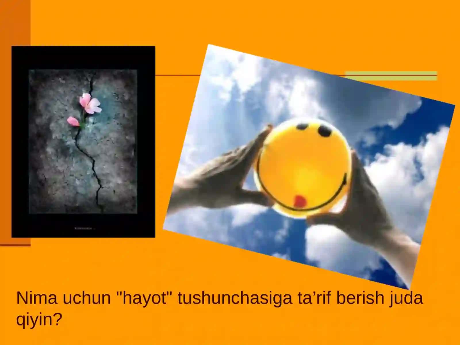 HAYOT MOHIYATI VA TIRIKLIKNING XUSUSIYATLARI 2
