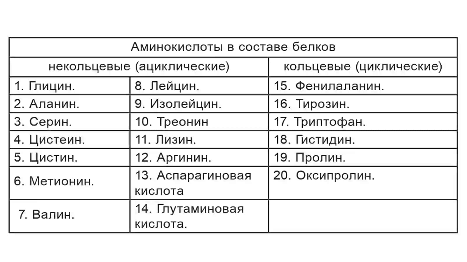 Белки и аминокислоты 2