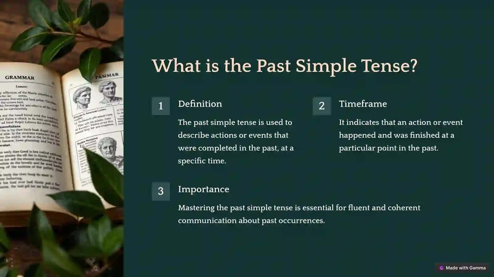 Past Simple Tense 2
