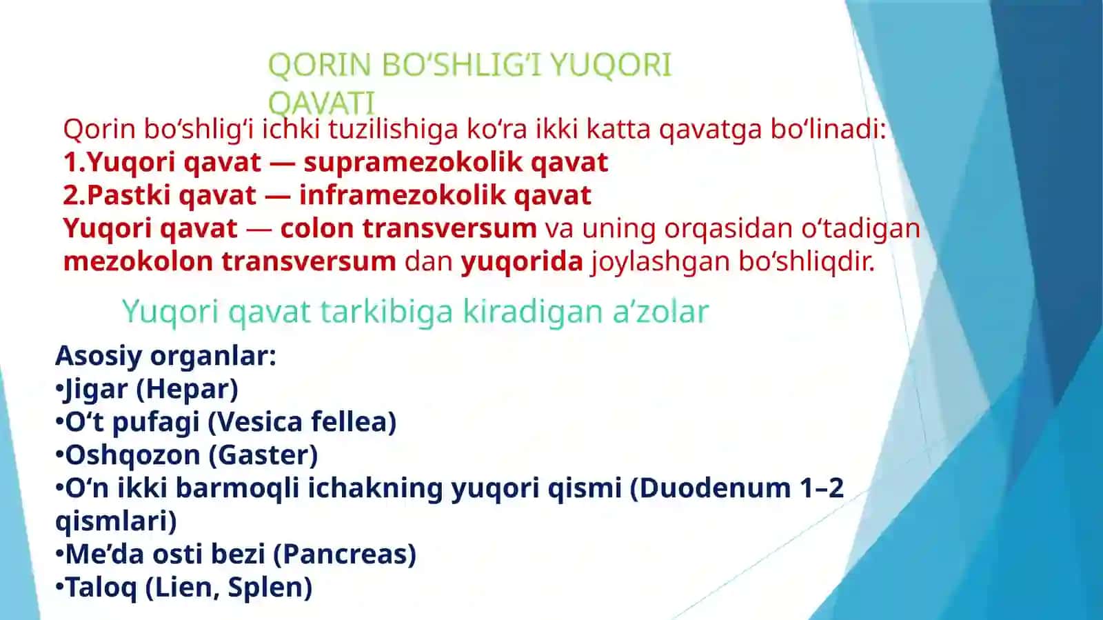 oxta qorin boʻshligʻi yuqori azolari haqida tuliq malumot 2