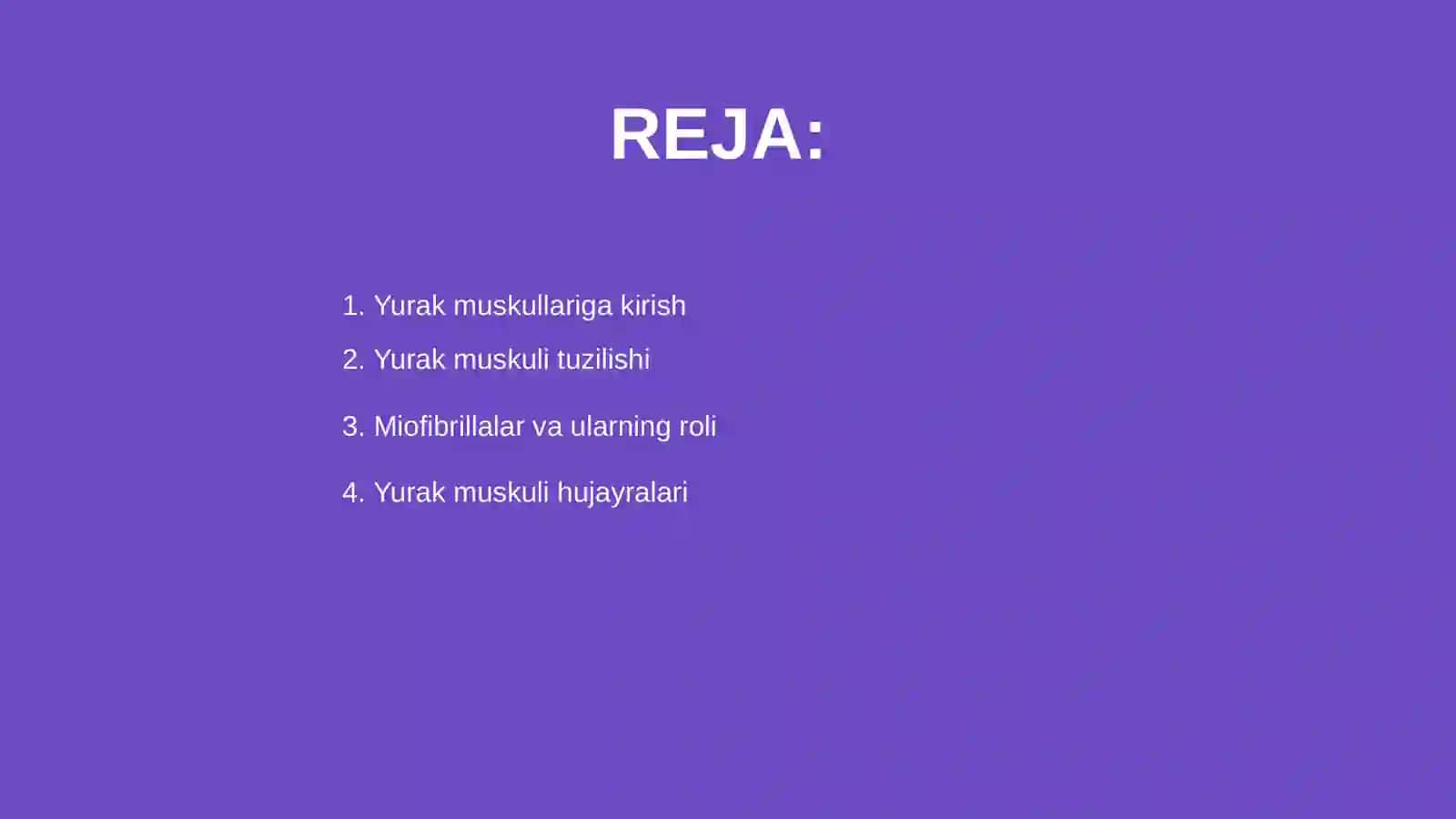 Yurak muskullari 2
