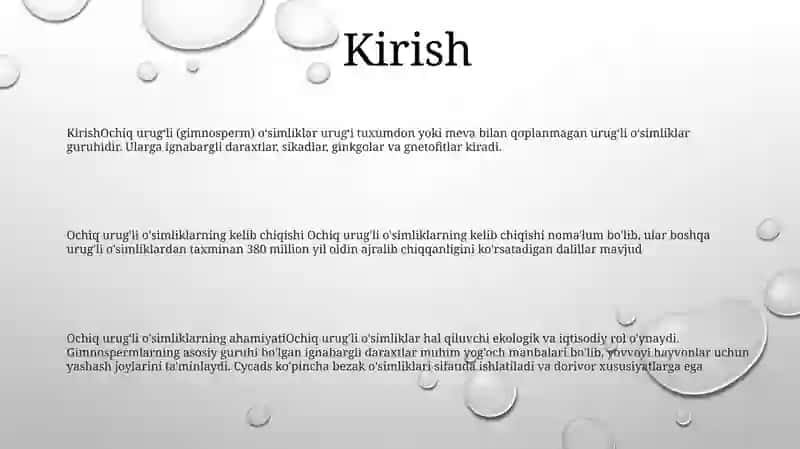 Ochiq UrugʻLi OʻSimliklarning Kelib Chiqishi 2