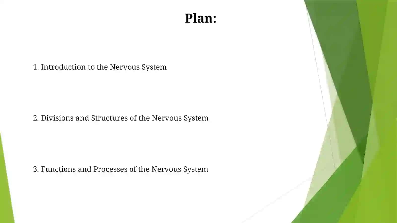 Nervous System 2