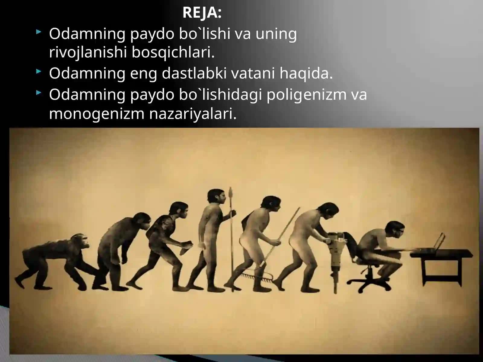 Odam evolyutsiyasi 2