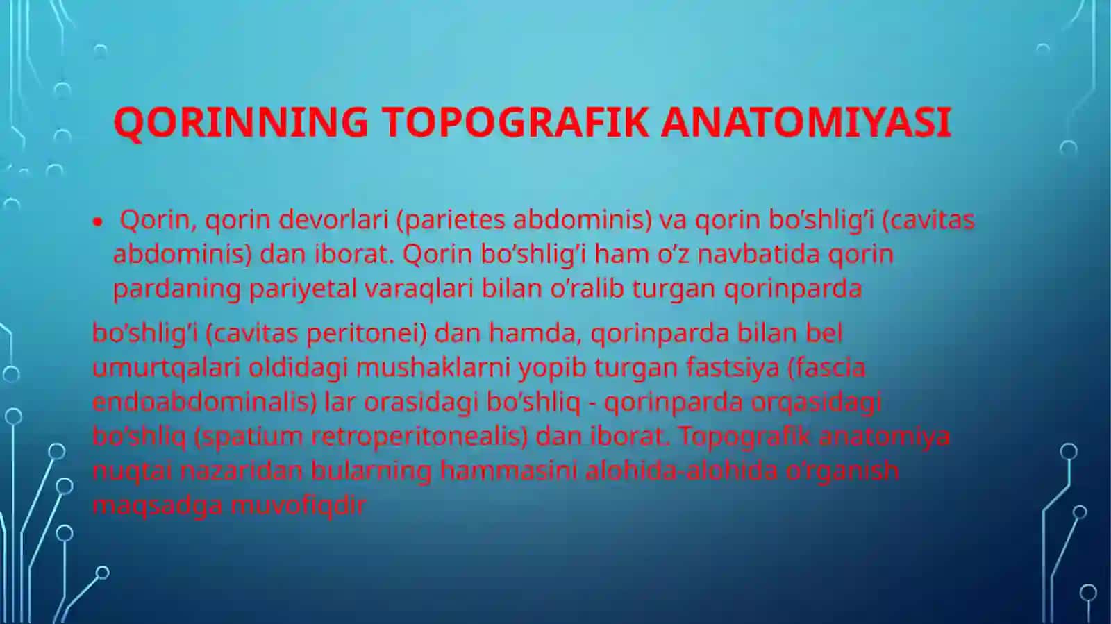 Qorinning topografik anatomiyasi 2