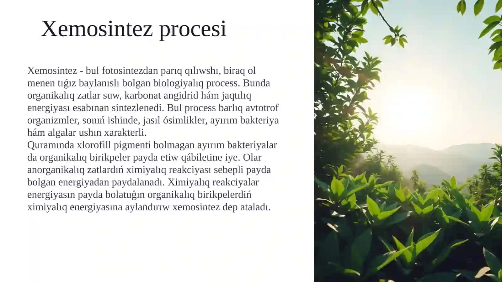 Xemosintez procesi 2