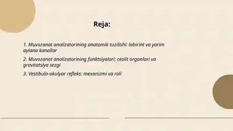 Muvozanat analizatorining tuzilishi va funksiyalari 2