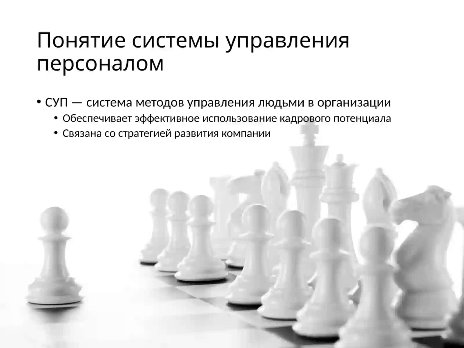 Система управления персоналом организации 2